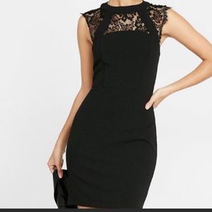 Express Lace Bodycon Sheath Dress